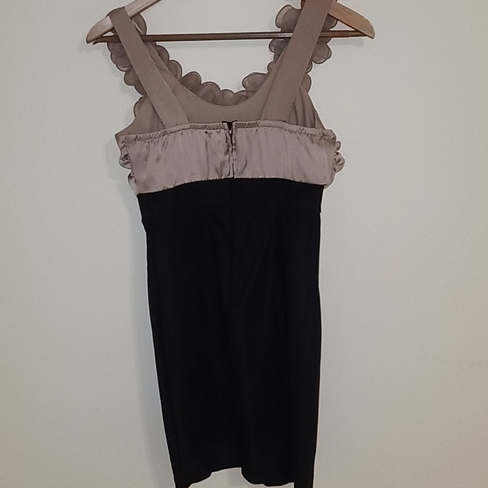 Have & Have Dress Ruffle Mini Dress - Picture 4 of 5